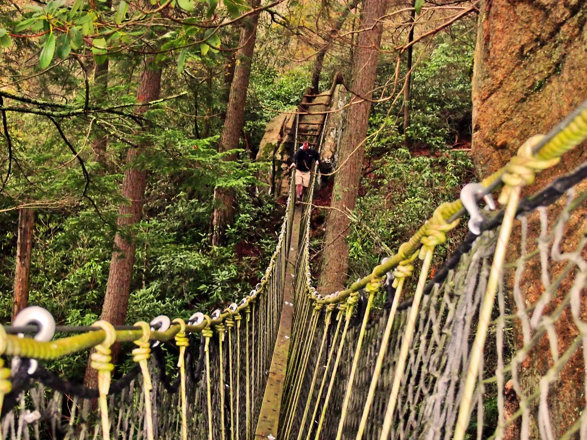 A dramatic suspension bridge stretches over a rocky ravine, surrounded by lush forest. A person is mid-crossing, capturing the sense of adventure and thrill. Sunlight filters through the trees, emphasizing the rugged natural beauty and the immersive experience of being on the trails.
